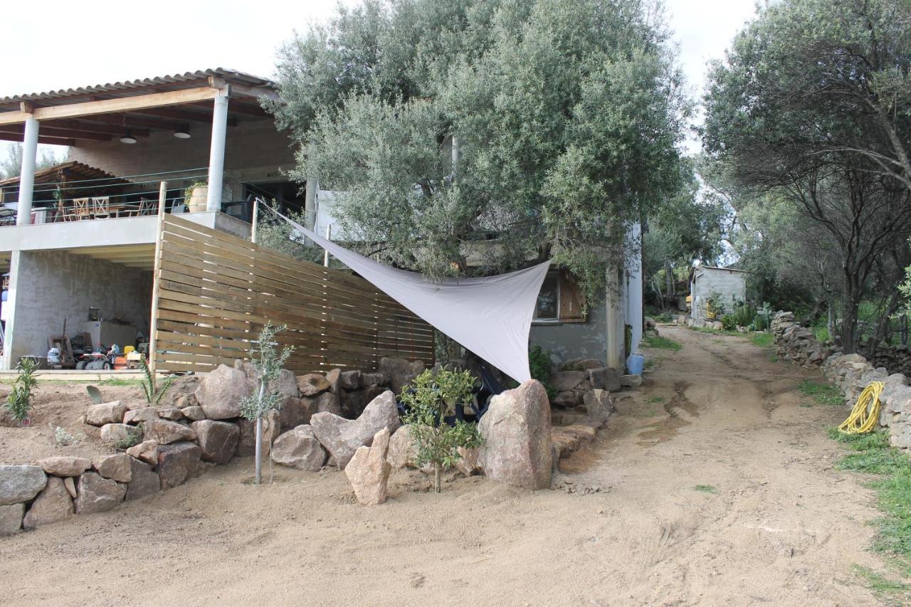 Les Hauts De Frisella Monacia-d'Aullene Exteriör bild